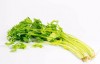 芹菜是一种绿色减肥食物